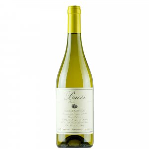 VILLA BUCCI "BUCCI" - Verdicchio Classico dei Castelli di Jesi Sup. DOC
