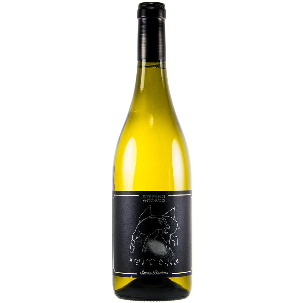SANTA BARBARA "ANIMALE CELESTE" - Sauvignon Blanc
