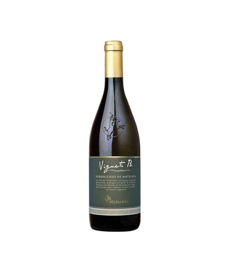 BELISARIO  "VIGNETI B." - Verdicchio di Matelica doc