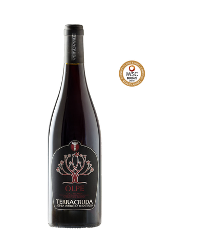 TERRACRUDA "OLPE" - Colli Pesaresi Sangiovese DOC RISERVA